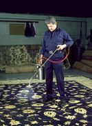  Fiber-Guard Rug Stain Protection Bergenfield NJ